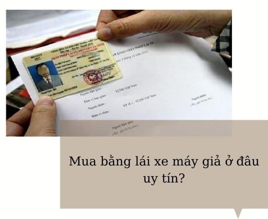 mua bằng lái xe máy giả