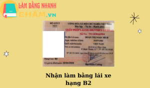 Bằng lái xe hạng B2